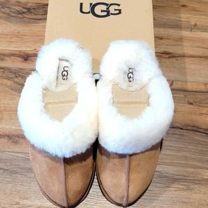 UGG Slippers, New in original packaging